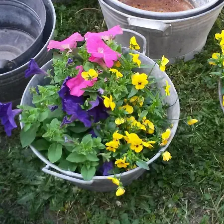 Ca Balossa, Tremezzina Di Davanti A Bellagio E Balbianello *
