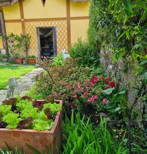 Apartmán Ca Balossa, Tremezzina Di Davanti A Bellagio E Balbianello