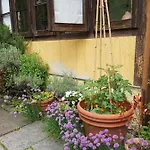 Ca Balossa, Tremezzina Di Davanti A Bellagio E Balbianello 公寓 *