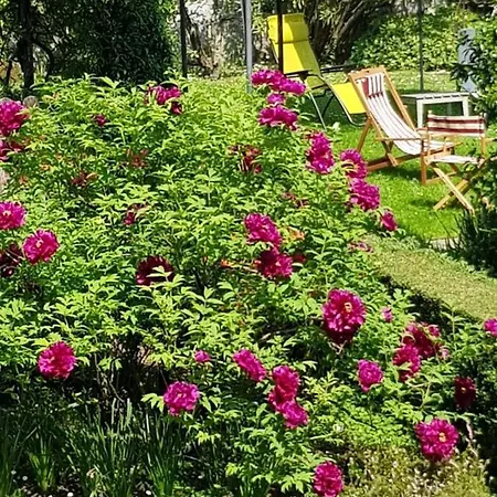 Ca Balossa, Tremezzina Di Davanti A Bellagio E Balbianello דירה