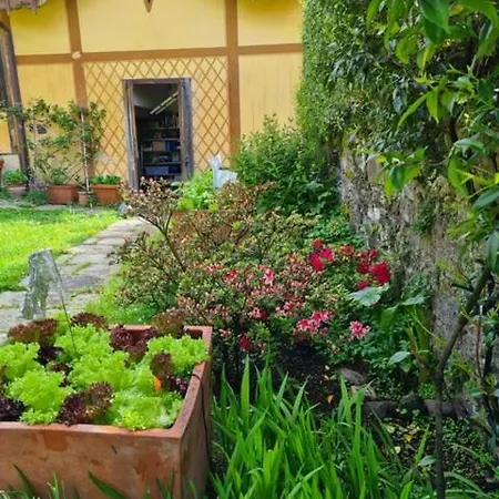 Appartement Ca Balossa, Tremezzina Di Davanti A Bellagio E Balbianello