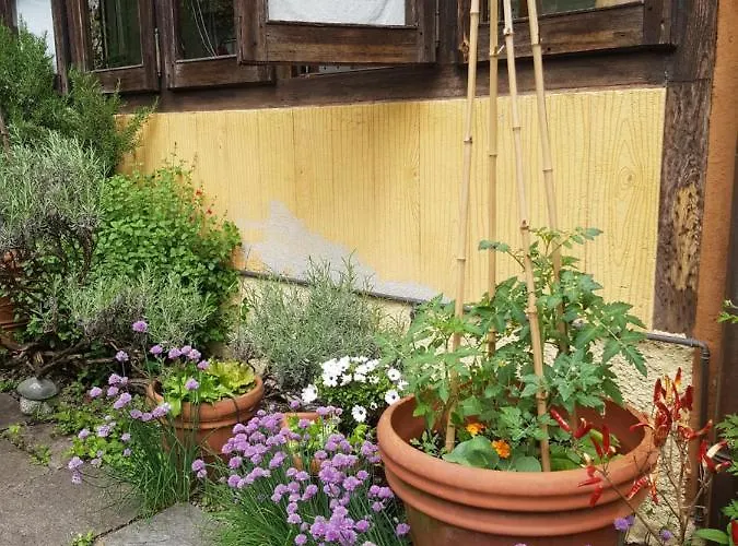 Ca Balossa, Tremezzina Di Davanti A Bellagio E Balbianello Apartment *