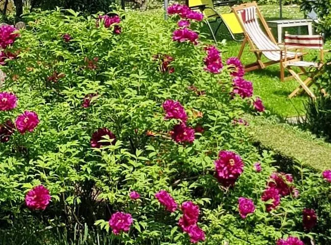 Ca Balossa, Tremezzina Di Davanti A Bellagio E Balbianello Apartmán