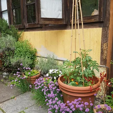 Ca Balossa Charming House And Garden - Tremezzina Di Como, Overlooking Bellagio And Balbianello アパート *